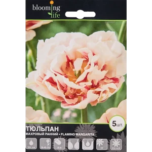 Тюльпан «Флеминг Маргарита» размер луковицы 12, 5 шт. 82665835 STLM-2070974