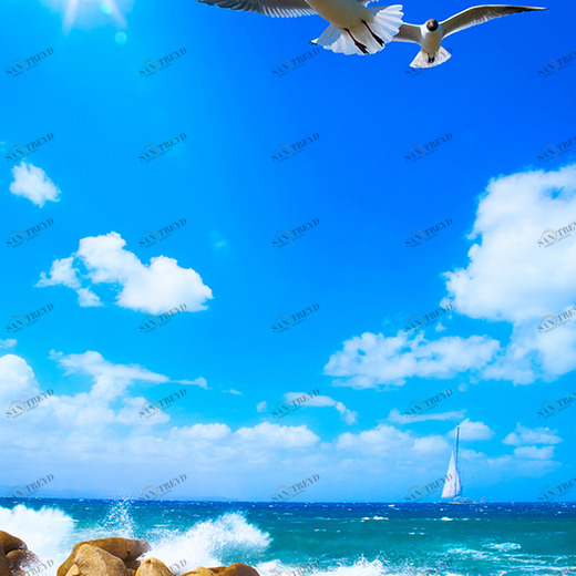 B1-078 Фотообои DIVINO Collection B 2.7х2 м B1078