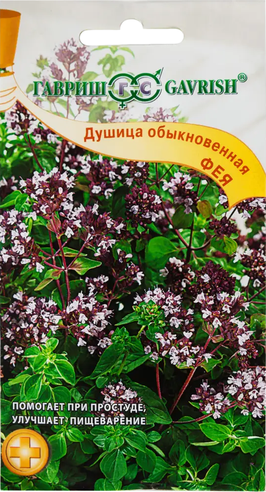 Душица «Фея» от ГАВРИШ — ароматная приправа и лекарственное растение 82097763