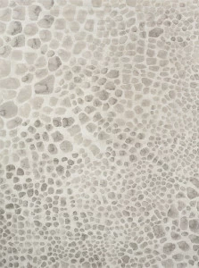 Ковер Ivory 64227i6575 160x230 DOLLY CAPRETS ДИЗАЙНЕРСКИЕ 155327 Серый;коричневый