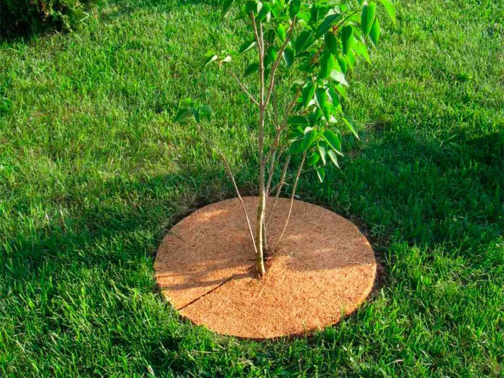 Круг приствольный Мульчаграм 30 см, комплект - 5шт ГеоПластБорд GPBST-234 - Вид №7