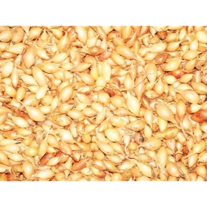 Лук севок Стурон луковицы 0.25 кг