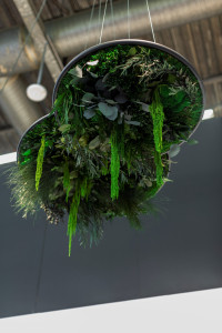 Акустическая подвесная панель в стабилизированных растениях