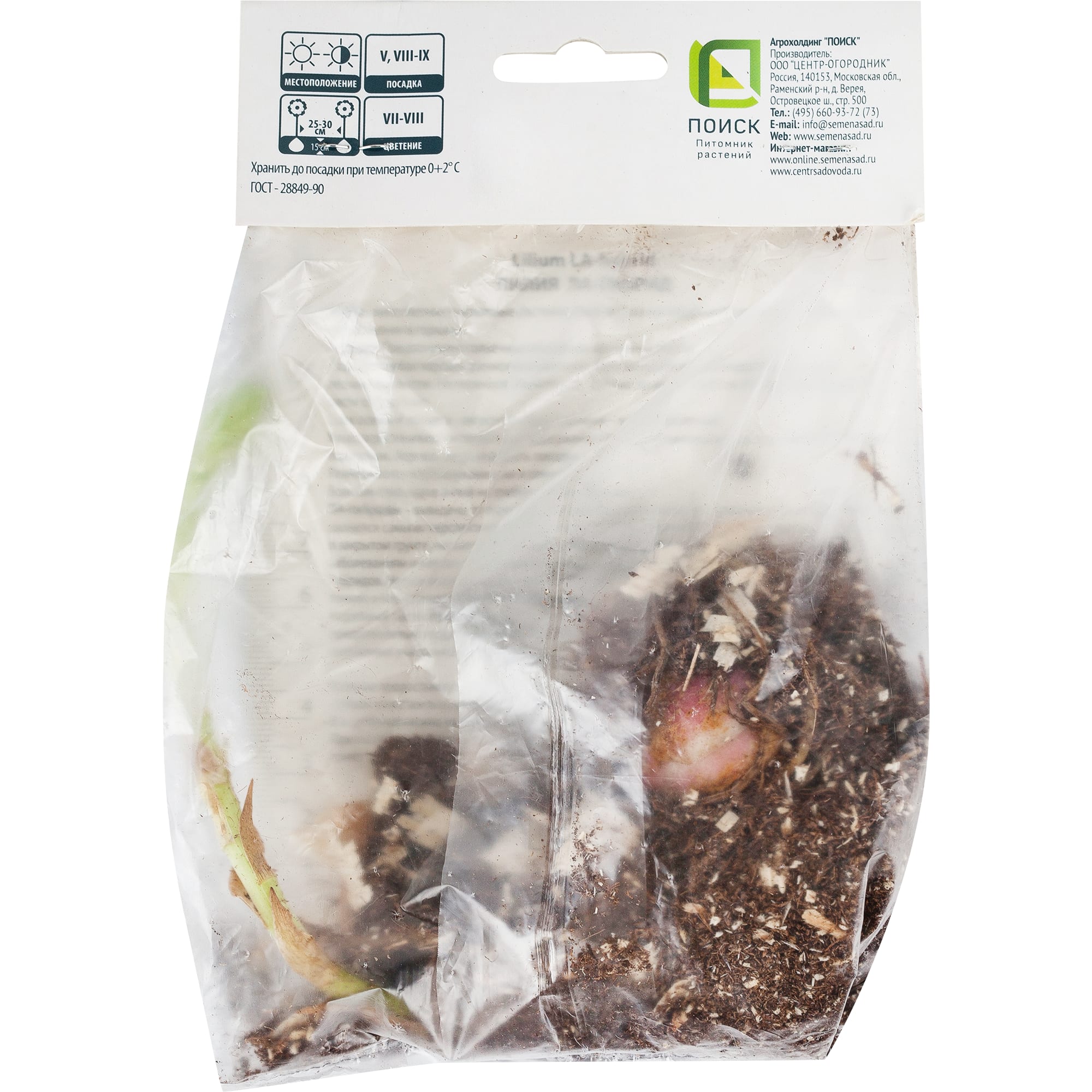 82000197 Лилия ЛА-гибрид «Ориджинал Лав», высота 50 см, 1 шт Santreyd  - Вид №2