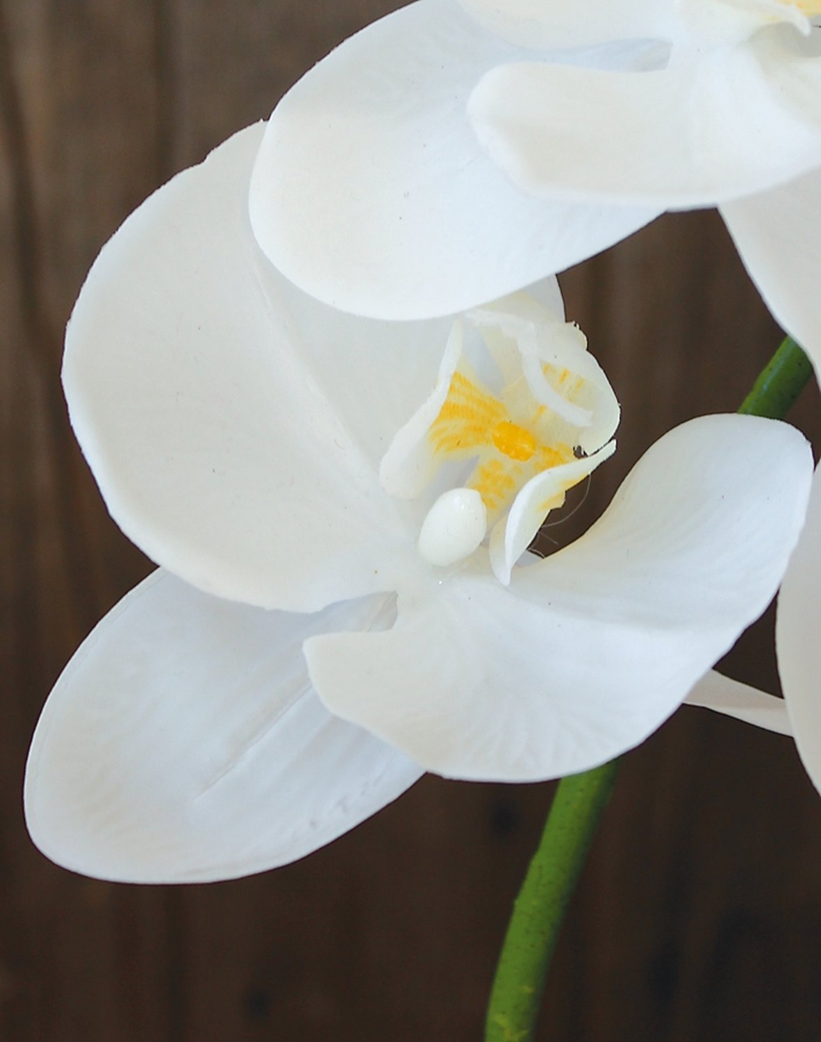 2800 777 a3 Искусственная орхидея Phalaenopsis, 98 см, real touch soft, белая H-andreas  - Вид №2