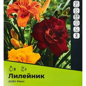 Лилейник Дабл микс разбор I 3 шт. 89354483 STLM-2108468