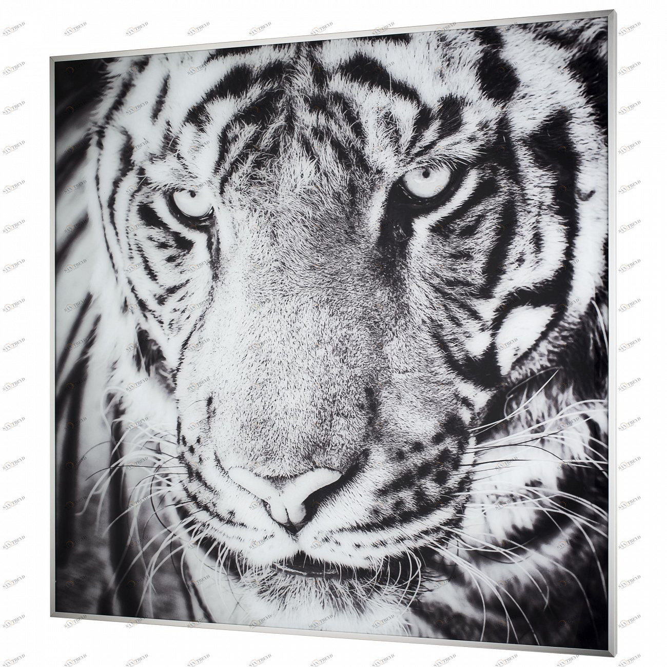 Панно интерьерное в алюминиевой раме 80х80 см черно-белое Tomas Stern TOMAS STERN  00-3872669 Серый;черный;разноцветный 