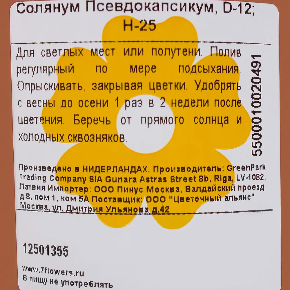 Солянум Псевдокапсикум 12х25 см 12501355 STLM-2162168 Santreyd  - Вид №1