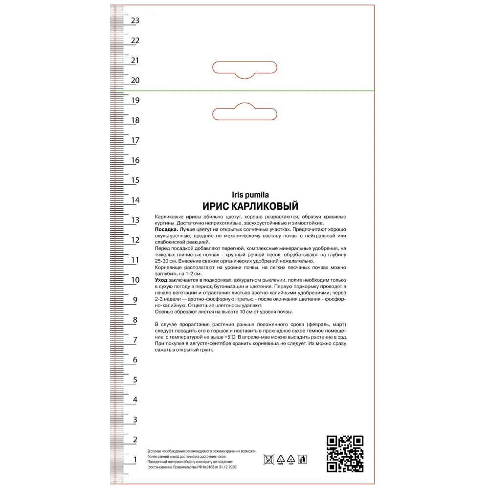 Ирис карликовый Риц ПОИСК STLM-2083563