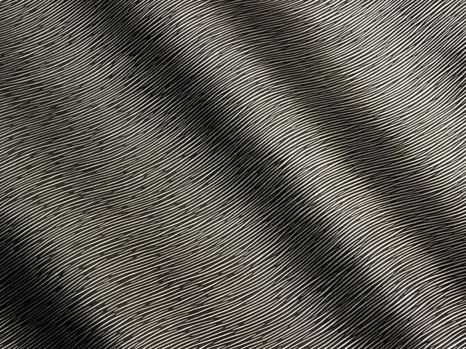 Кожа с рисунком Prodital Leather Pacific ARCH-00104335 - Вид №1