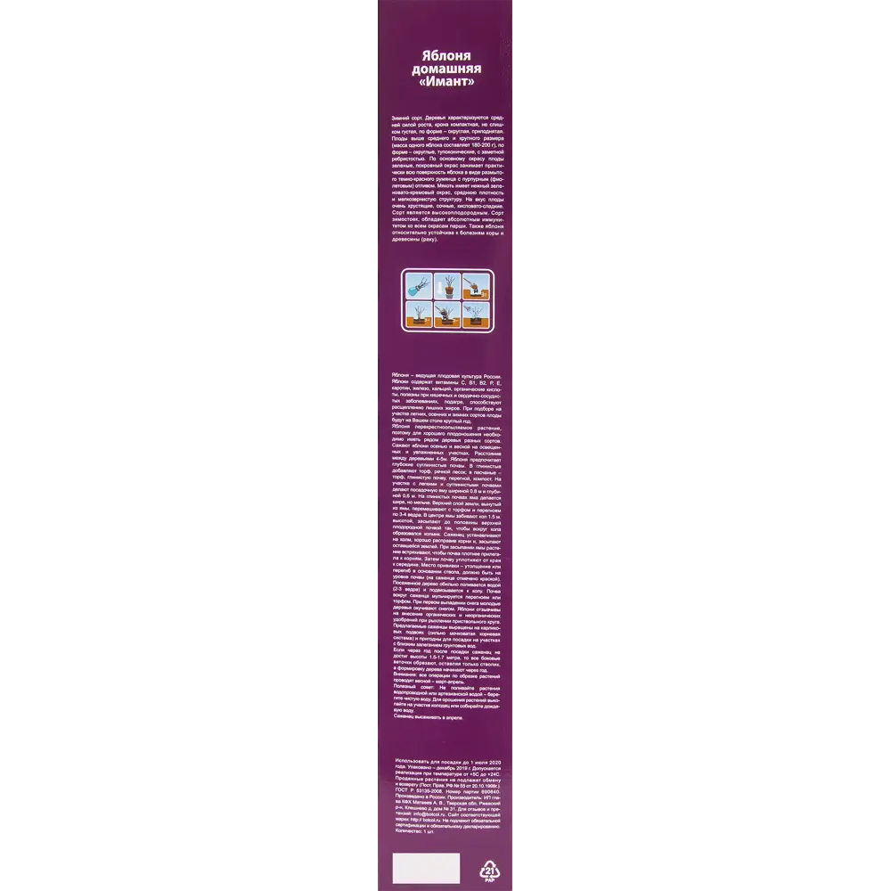 Яблоня Имант в тубе 82539585 STLM-2006025 BOTANIC COLLECTION  - Вид №2