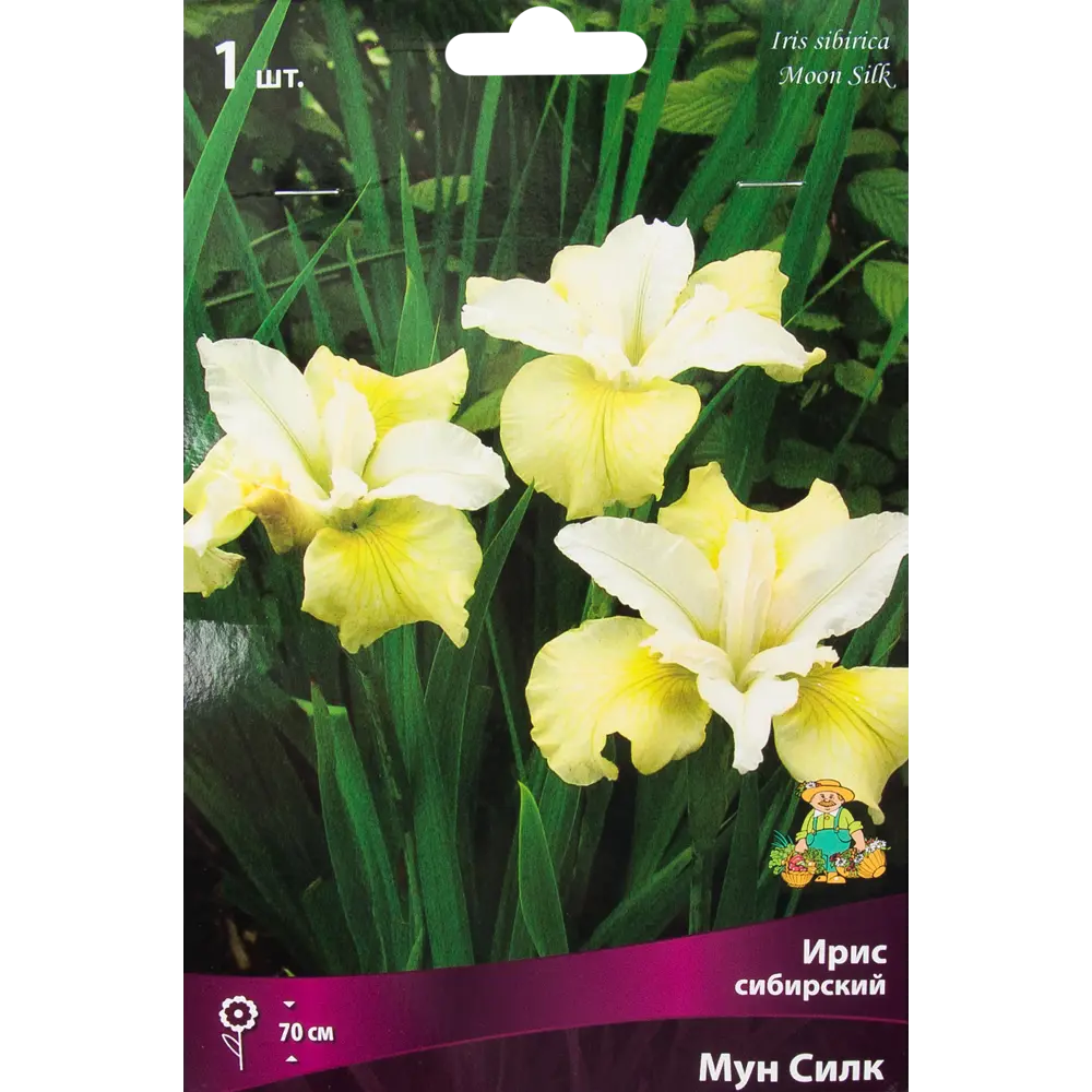 Ирис сибирский «Мун Силк», размер луковицы I 82319549 STLM-2148232 Santreyd 