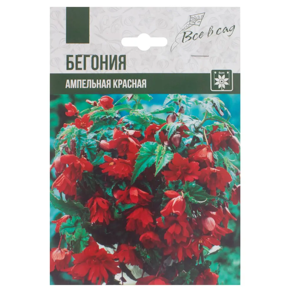 Бегония ампельная, цвет красный 81945830 STLM-2171607 ВСЕ В САД 