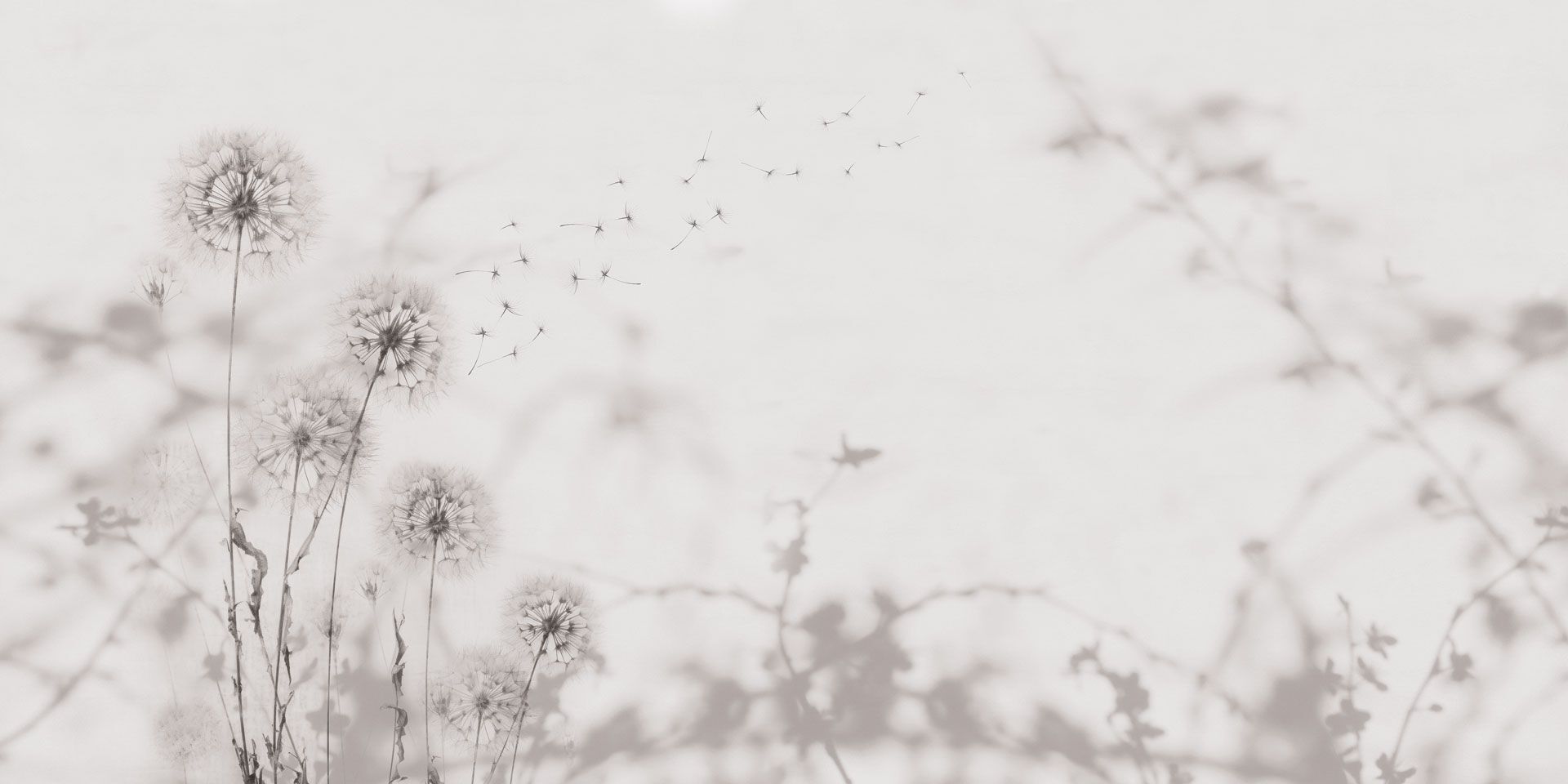 Обои с цветочным узором Rimura 2024 ARCH-00127163 - Вид №7