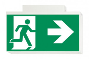 DST-2761 Lisu ceiling-mounted Daisalux Светильники сигнальные Белый