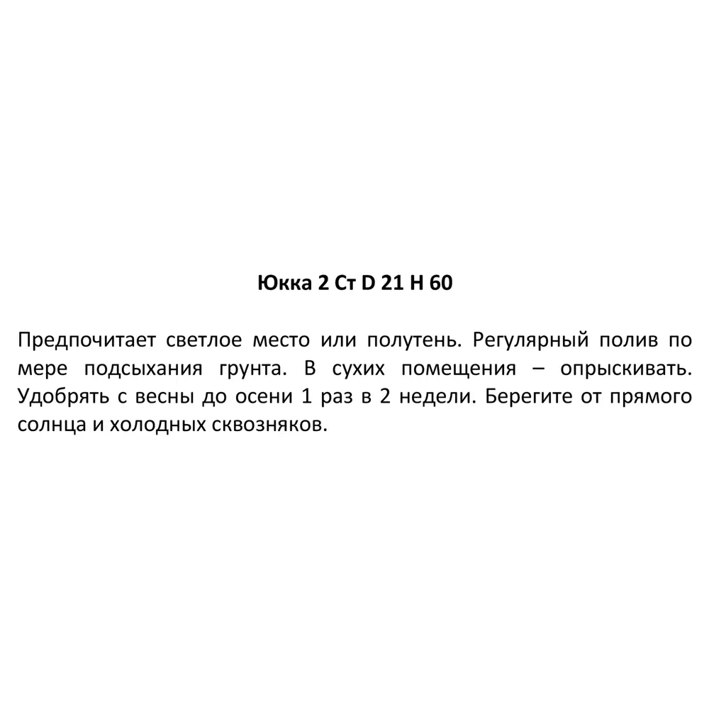 Юкка 2 ствола ø21 h80 см 85394467 STLM-2057862 Santreyd  - Вид №2