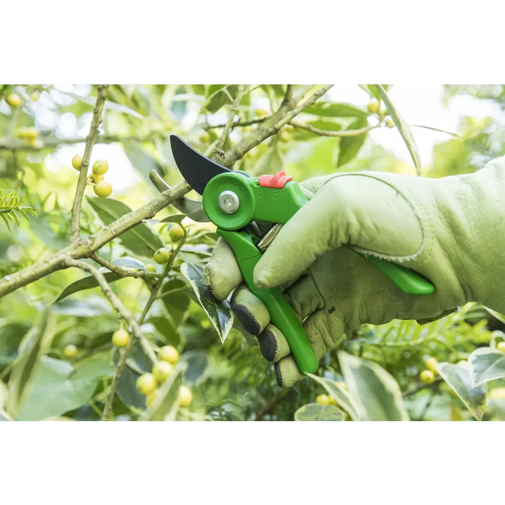 Секатор Geolia для точной обрезки ветвей 81966048 STLM-0015857 - Вид №11