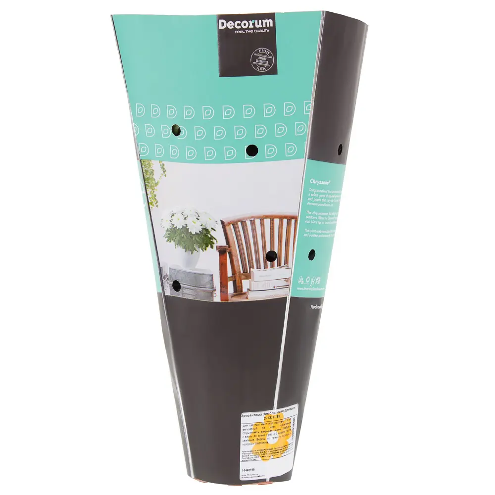 Хризантема Зембла Santreyd - роскошный цветок для дома и сада 14448199 STLM-0004959 - Вид №2