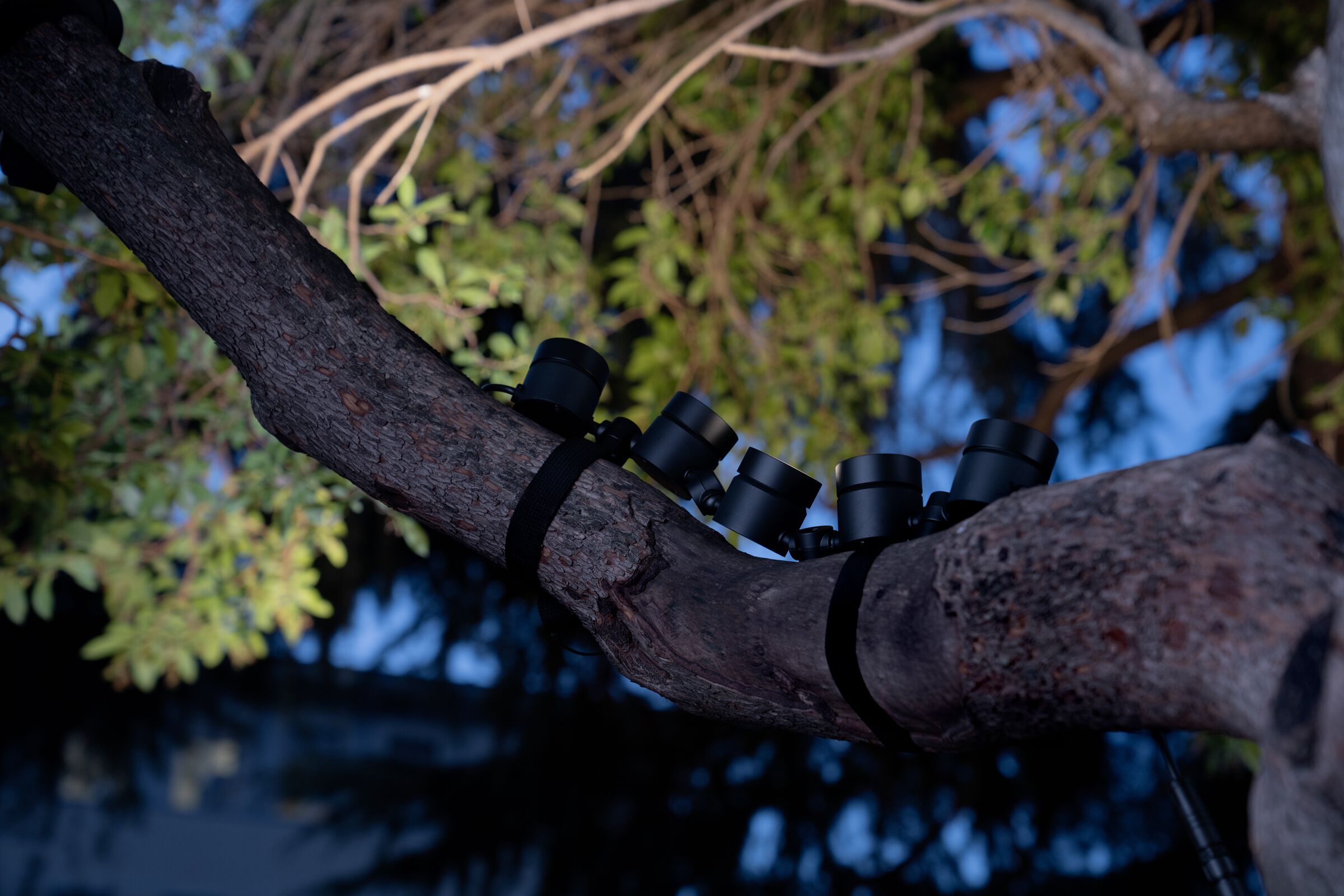 Регулируемый светодиодный наружный прожектор TARGETTI CATIRPEL ARCH-00029740 - Вид №4