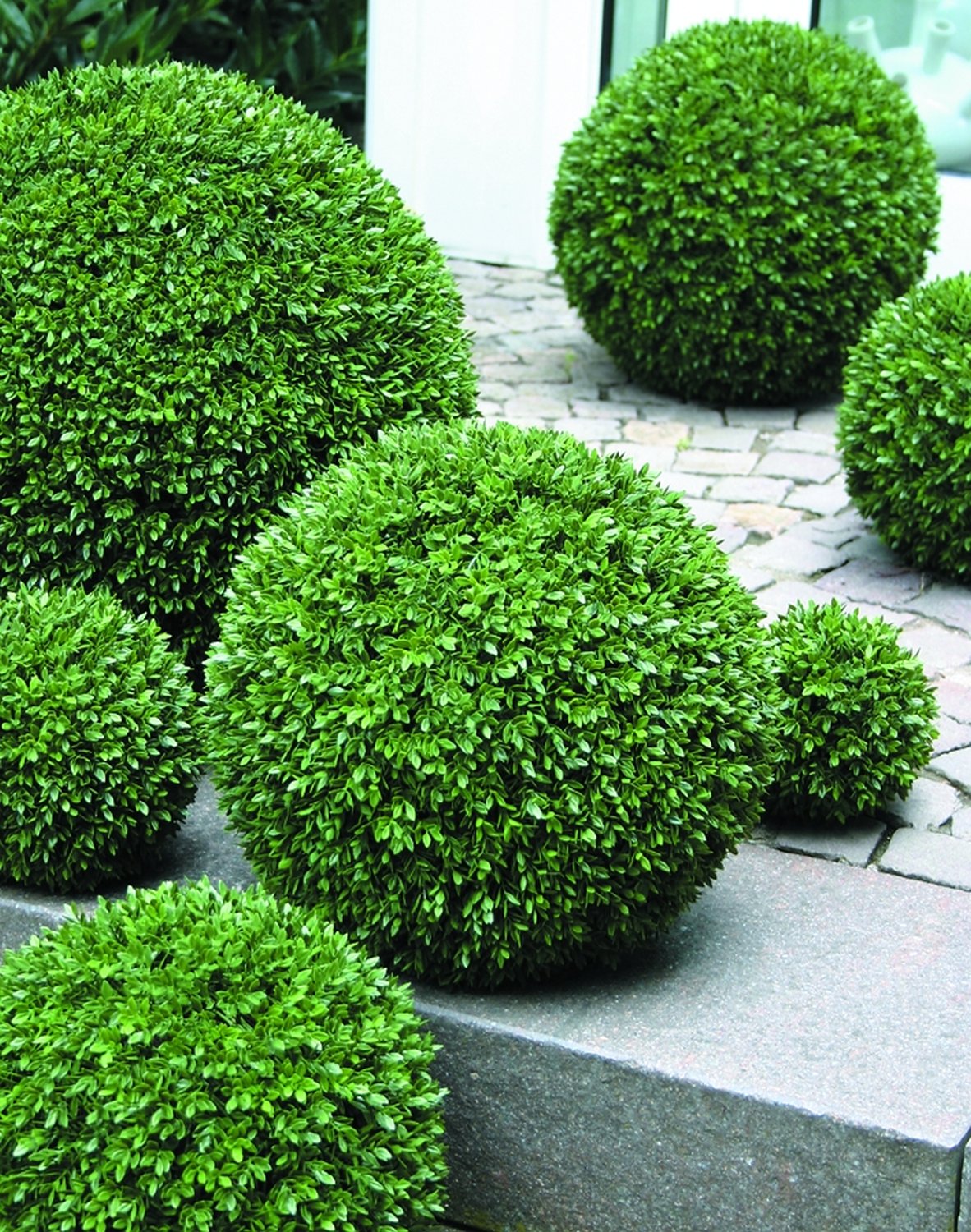 4977 883 a3 Мяч из искусственного самшита, синтетический материал, Ø 50 см, зеленый H-andreas  - Вид №1