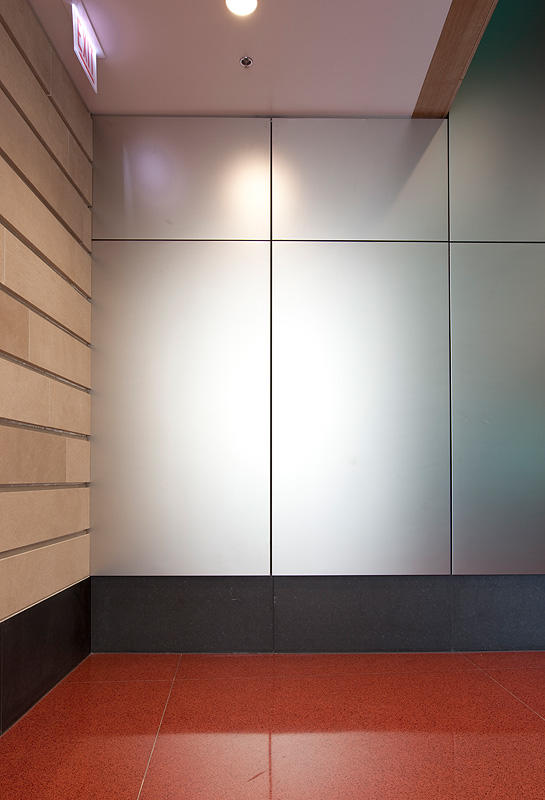 FSRT673 Система облицовки стен Levele с захватными панелями; вставки из склеенной бронзы с натуральной патиной и узором калахари в princeton medical arts pavilion, plainsboro, new jersey Forms-surfaces  - Вид №25