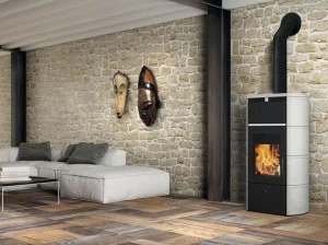 EDILKAMIN Дровяная печь