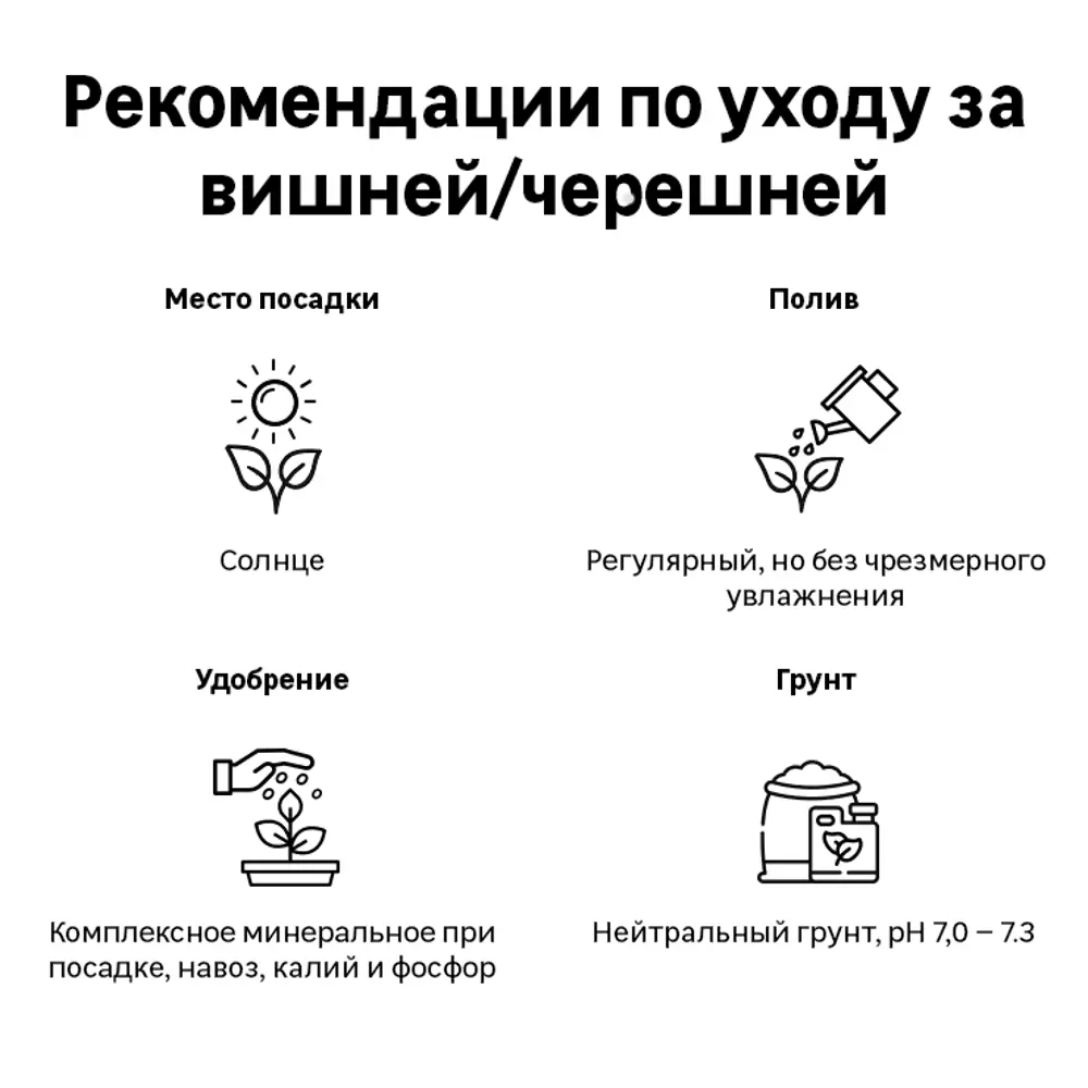 Вишня «Призвание» C7 высота 140-170 см 82557725 STLM-2112814 ВСЕ В САД  - Вид №1