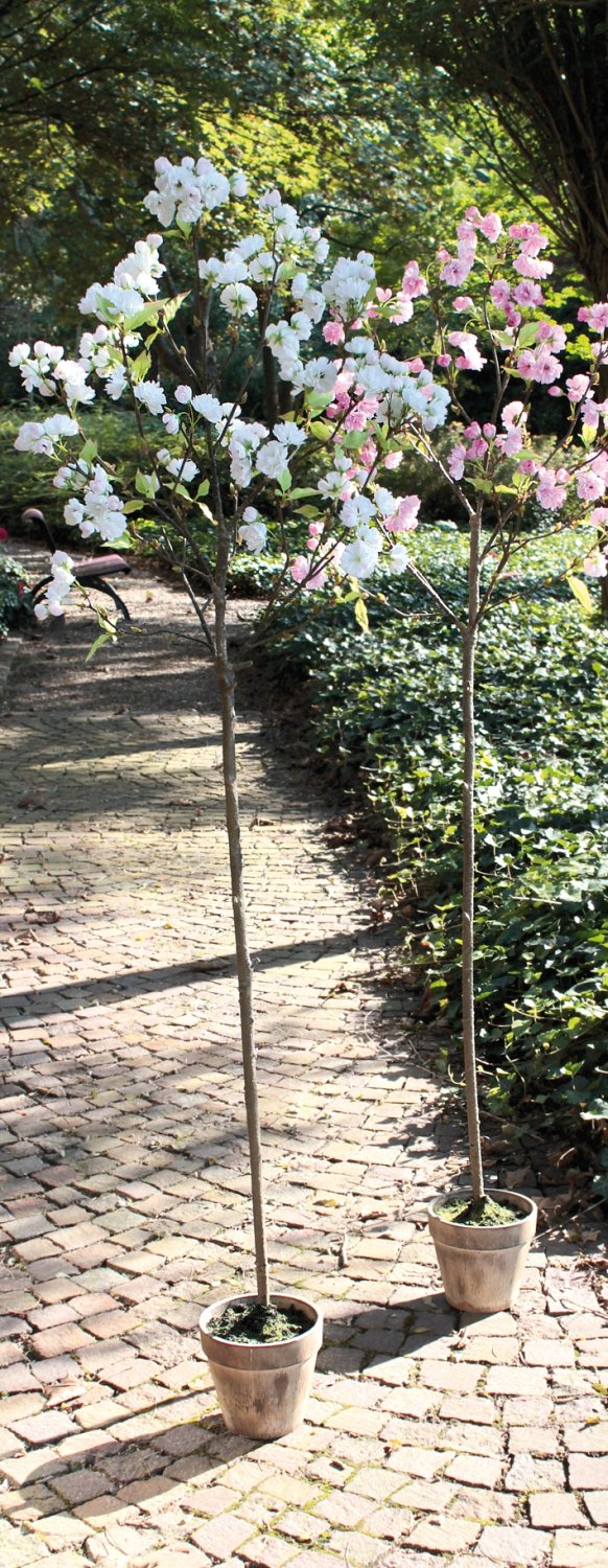 5505 778 a3 Искусственное дерево сакуры, в горшке, 168 см, бежево-белое H-andreas  - Вид №1