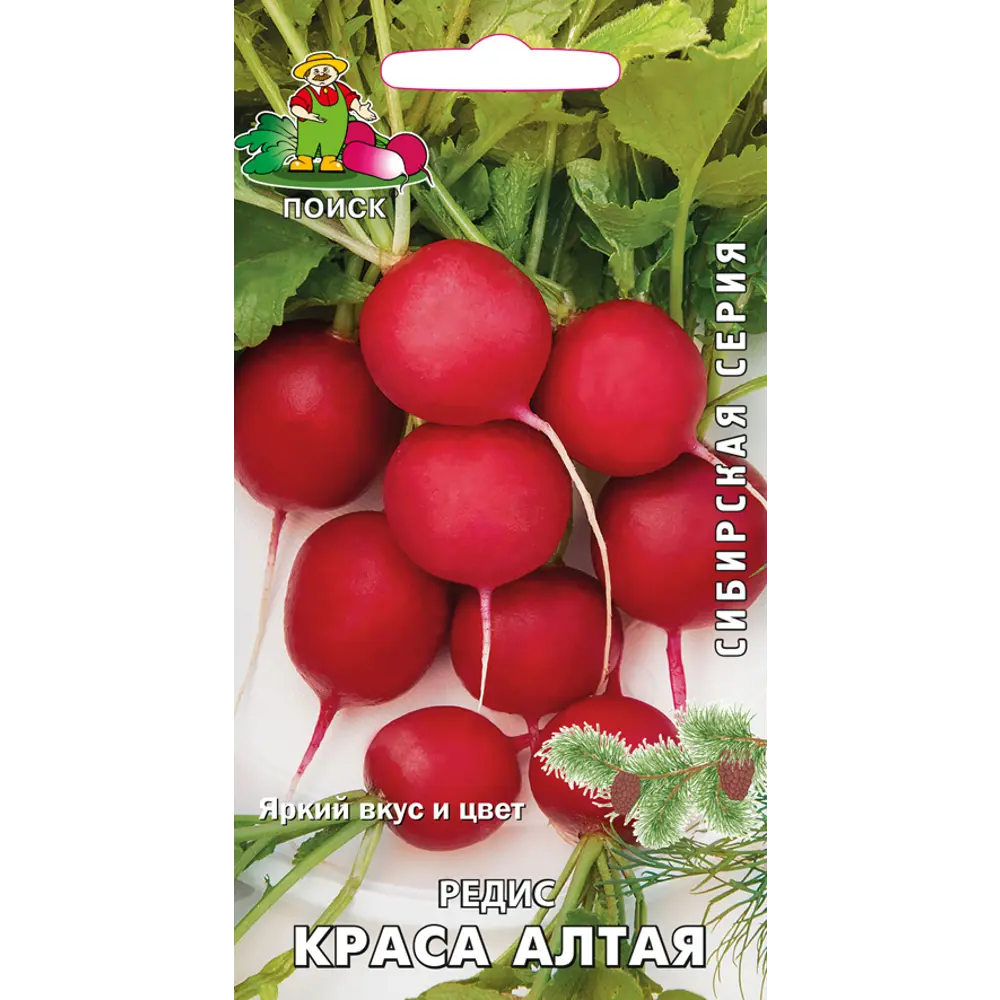 Семена Редис «Краса Алтая» 83123880 STLM-2089337 ПОИСК 
