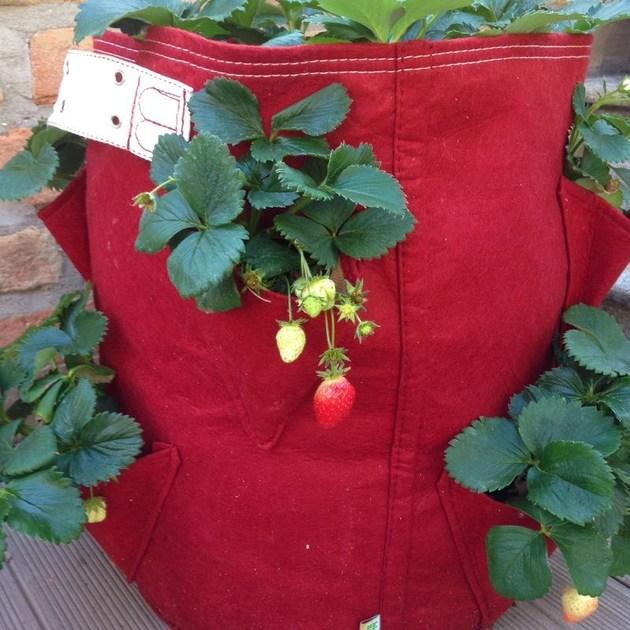 Onek Кашпо для ткани Bloembagz sun-id-1374207 - Вид №1