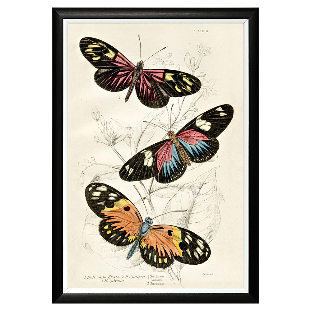 782752442_1818 Арт-постер «Тропический рай», версия 21 Object Desire 