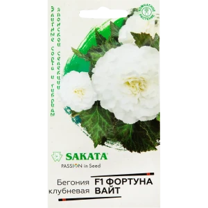 Бегония «Фортуна Вайт» F1, 4 шт.