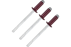 16068373 Вытяжная заклепка 4х10 мм RAL 3005 7920 Daxmer