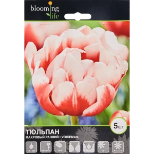 Тюльпан «Войсмейл» размер луковицы 12, 5 шт. 82665985 STLM-2165440