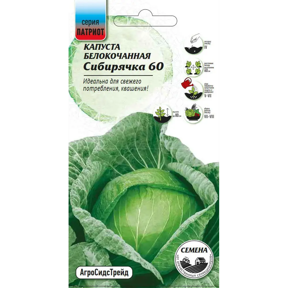 Семена овощей капуста белокочанная Сибирячка 60 89348023 STLM-2178540 Santreyd 