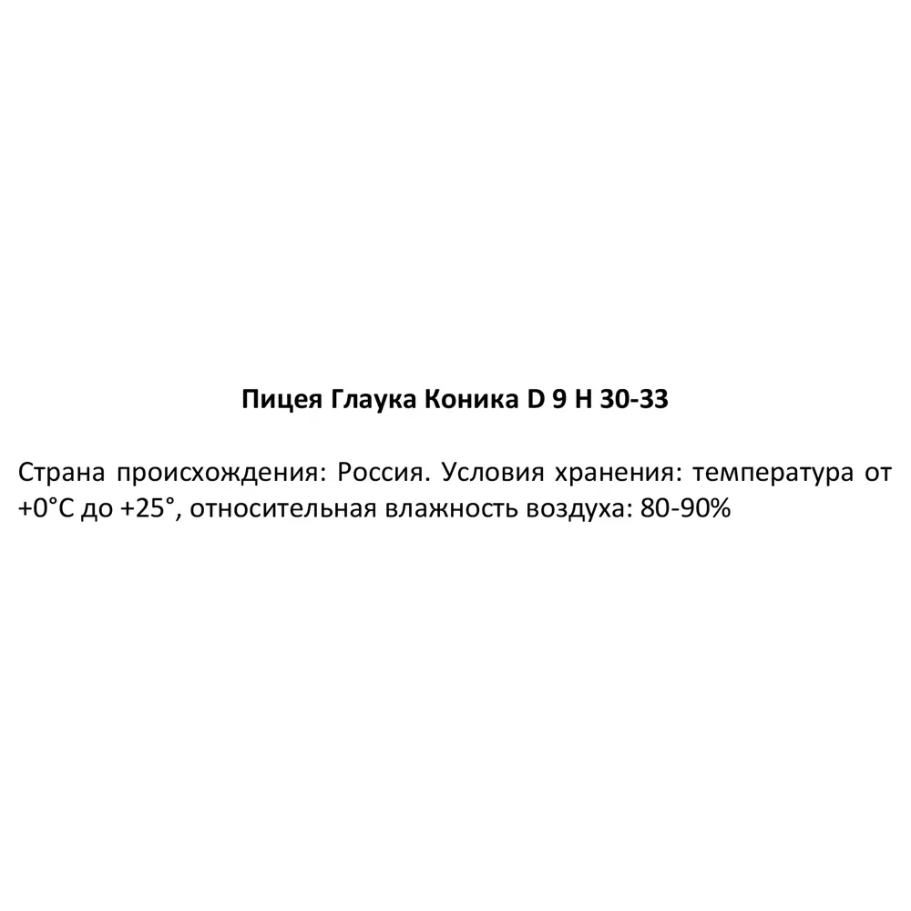 Ель натуральная Глаука Коника ø9 h30-35 см 89341216 STLM-2153886 Santreyd  - Вид №1
