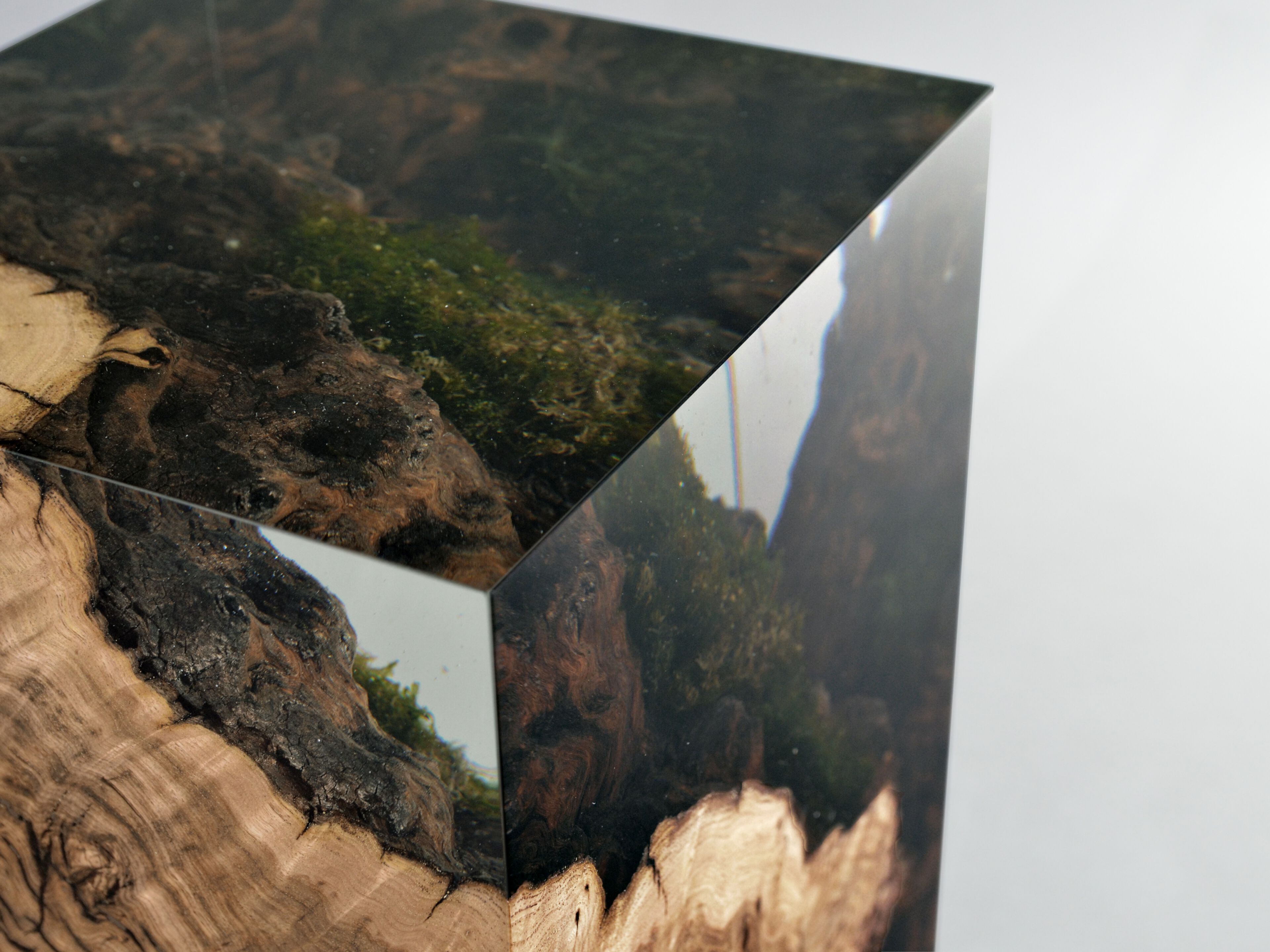 Журнальный столик / табурет из массива дерева и смолы alcarol Undergrowth ARCH-00124526 - Вид №5