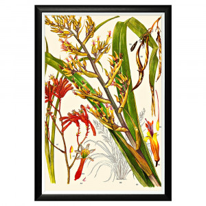 896519658_1818 Арт-постер «Цветочная энциклопедия, глава 12» Object Desire