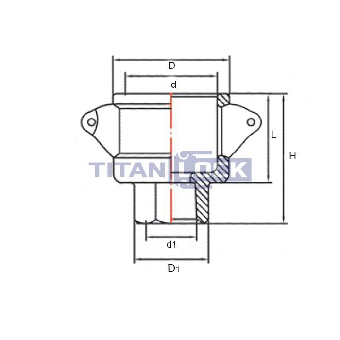 Камлок латунный тип D розетка, внутр. резьба BSP 3/4", TL75DBR TITAN LOCK  - Вид №1
