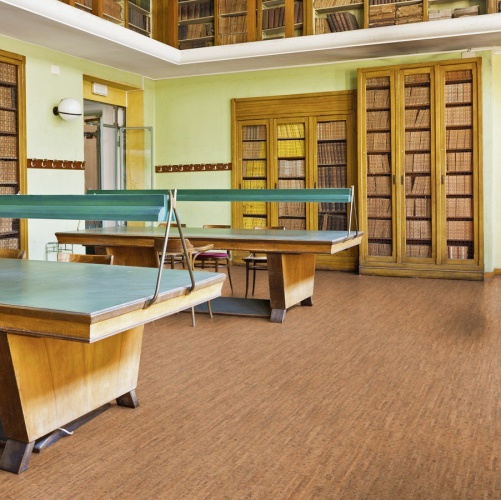 Пробка Wicanders Cork Parquet Character (Гладкая) 600х300 мм RN16001 - Вид №5