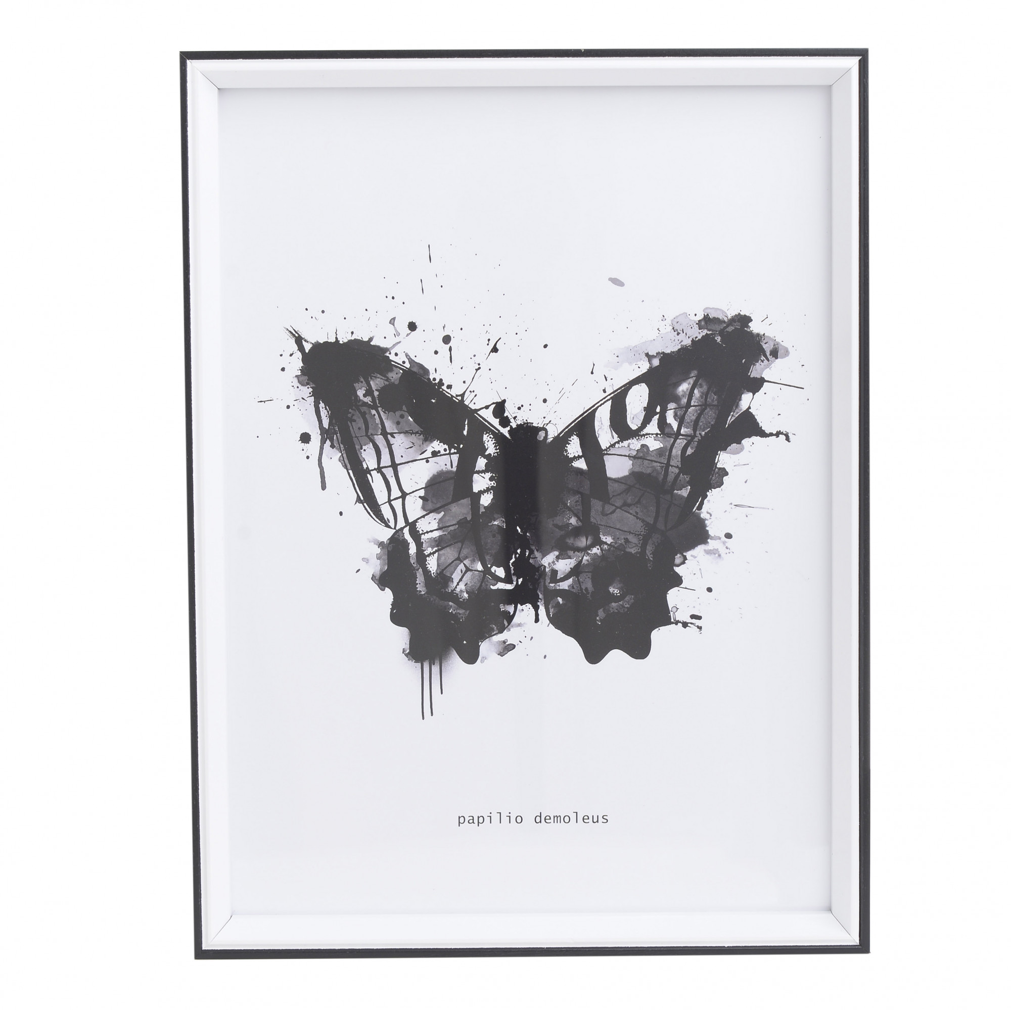 3890763.0033 Принт в раме TO4ROOMS 