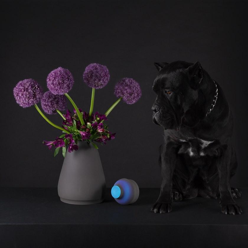 pulpo Ваза / контейнер из керамики sun-id-1423329 - Вид №1