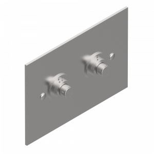 G00-219T WC Flush Plate compatible with TECE frame Thg-paris прочие артикулы THG Матовый никель