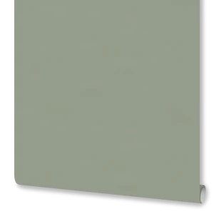 Флизелиновые обои Euro Decor Physalis зеленые 1.06 м 89426591