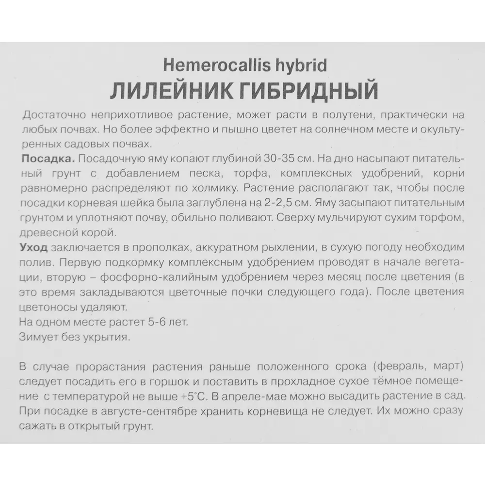 Лилейник гибридный Чарльз Джонстон 85186044 STLM-2079623 ПОИСК  - Вид №2