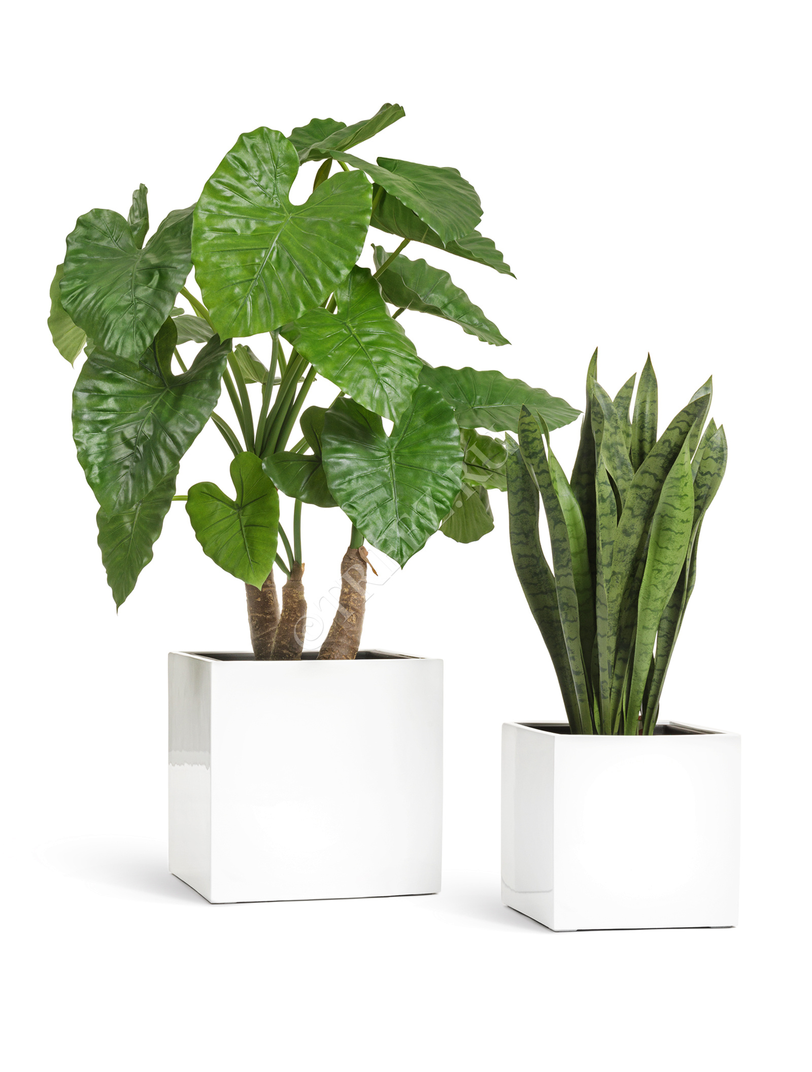 41.3320-05-033-WH-30 Кашпо  Effectory - серия Gloss - Куб - Белый глянцевый лак Цветочная коллекция  - Вид №4