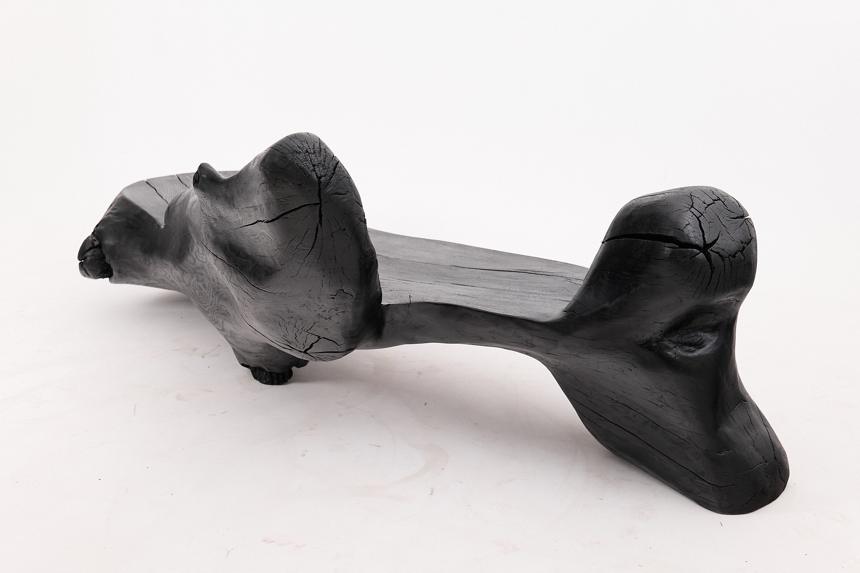 Дубовая скамья Logniture XXL SCULPTURAL BENCH ARCH-00033343 - Вид №12