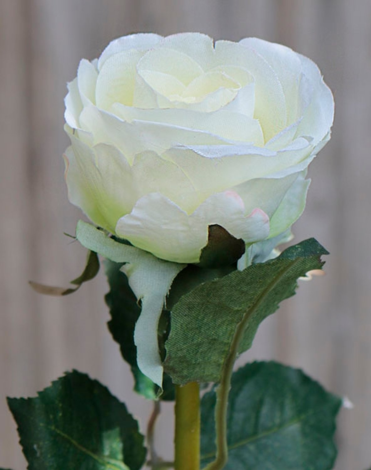 3258 777 a2 Бутоны роз искусственные, 60 см, белые H-andreas  - Вид №1