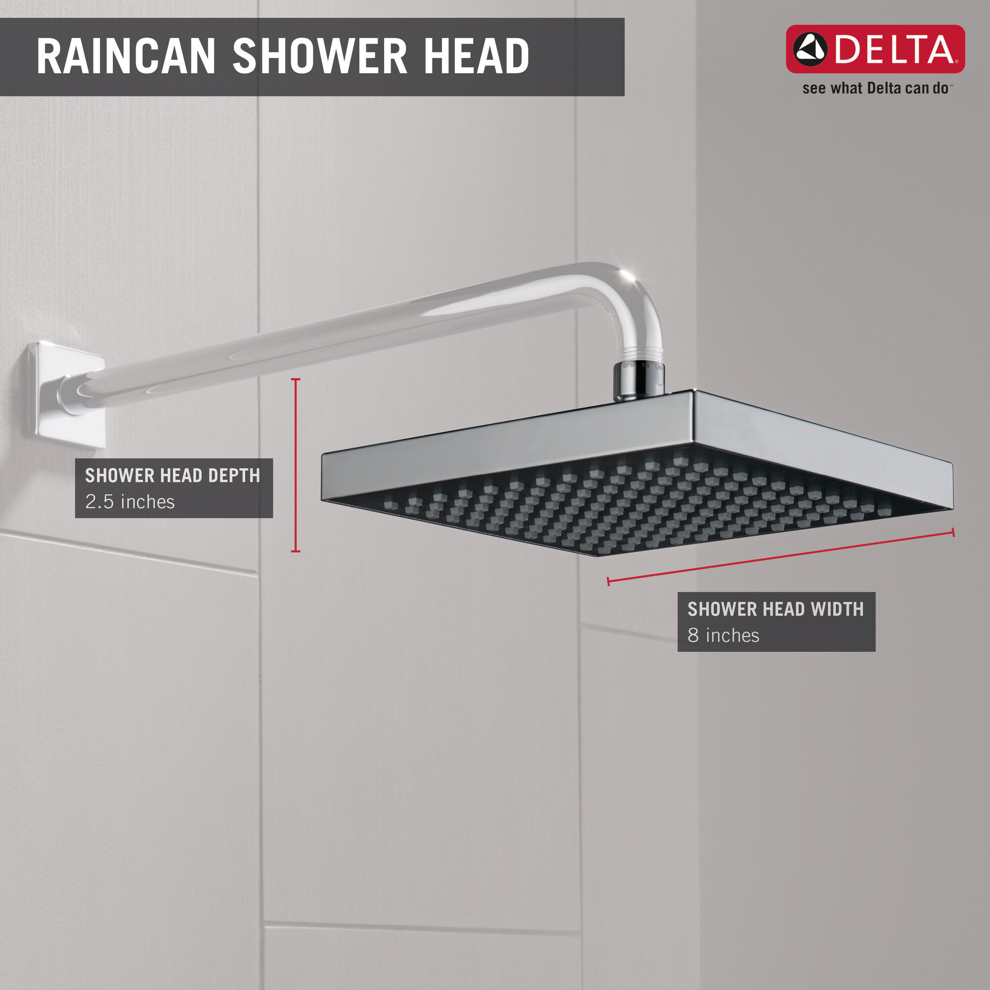 RP50841 Душевая лейка Raincan с одинарной настройкой Delta Faucet Universal Showering Хром  - Вид №3