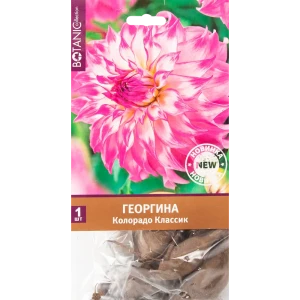 Георгина Колорадо Классик I, 1 шт 82539314 STLM-2098947